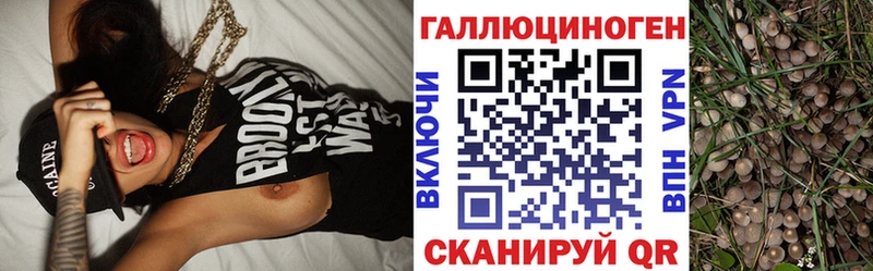 Псилоцибиновые грибы мухоморы  магазин  наркотиков  Нижние Серги 